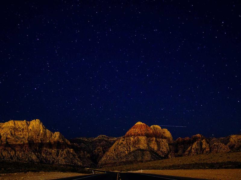 교토 아라시야마 프라이빗 벚꽃 투어